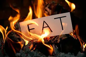 Healthy Ways of Burning Fat in the Body (Part 2)