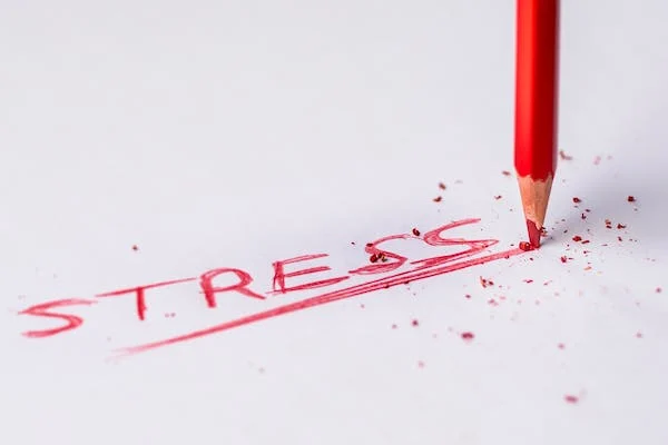 stress and wellbeing