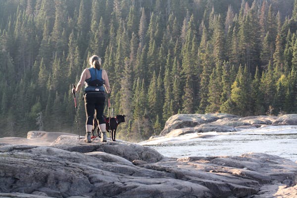 Health & Fitness Digest